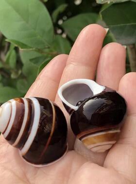 天然海螺贝壳面包黑色水族鱼缸