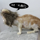 Котенок одежда Pet Cat Lion Head Cover's одежда кошки смешная осень и зимний трансформер Halloween Transformer Одежда