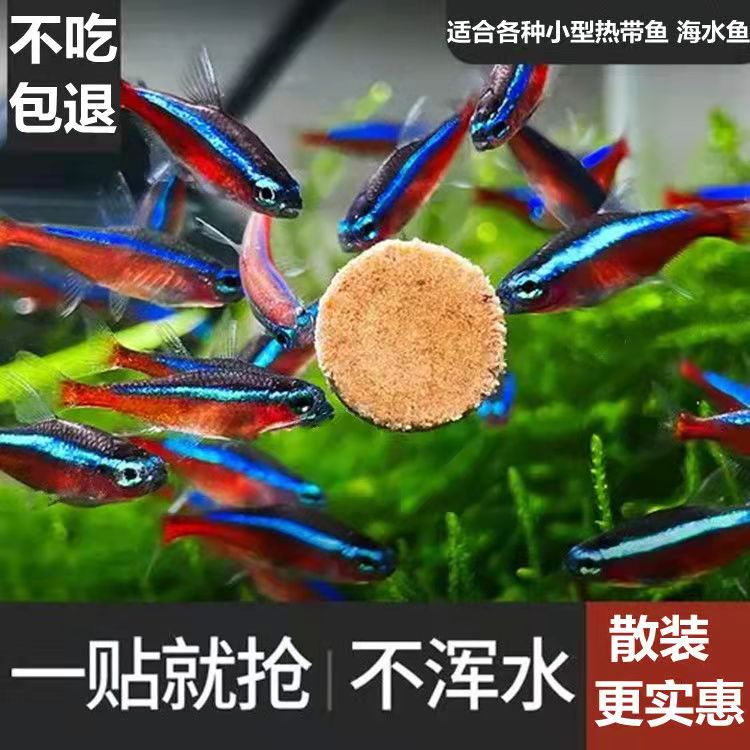 贴片鱼食小型热带观赏鱼饲料孔雀鱼鱼粮灯鱼金鱼通用丰年虾螺旋藻 - 图0