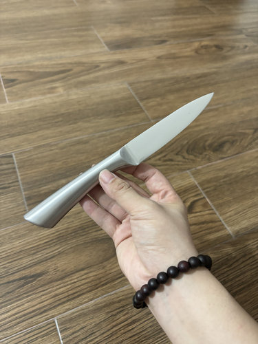 一体不锈钢水果刀家用瓜果刀厨房刨皮小刀全钢无缝果皮刀开刃锋利 - 图0