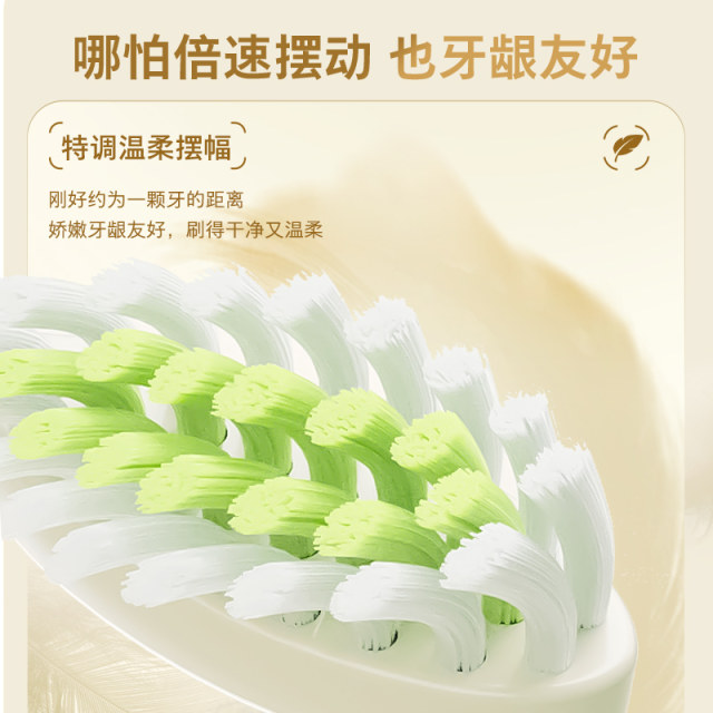 Philips Sonic ແປງຖູແຂ້ວໄຟຟ້າ Treasure Brush