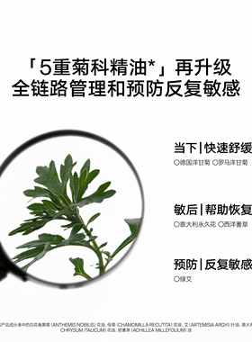 翡冷翠精华油雏菊的天空