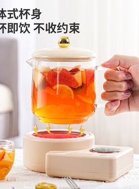 新款多功能养生杯办公室迷你煮茶壶家用小型养生壶分体式玻璃水壶