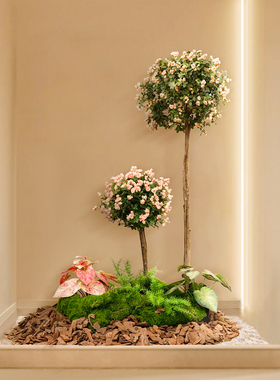 仿真绿植球型景观造景植物组合