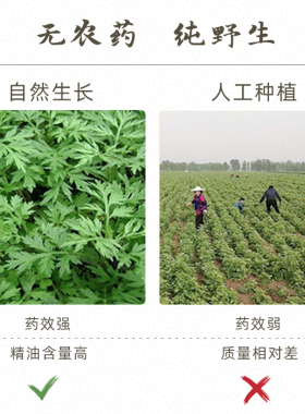 老K家端午野艾古法冷加工艾绒