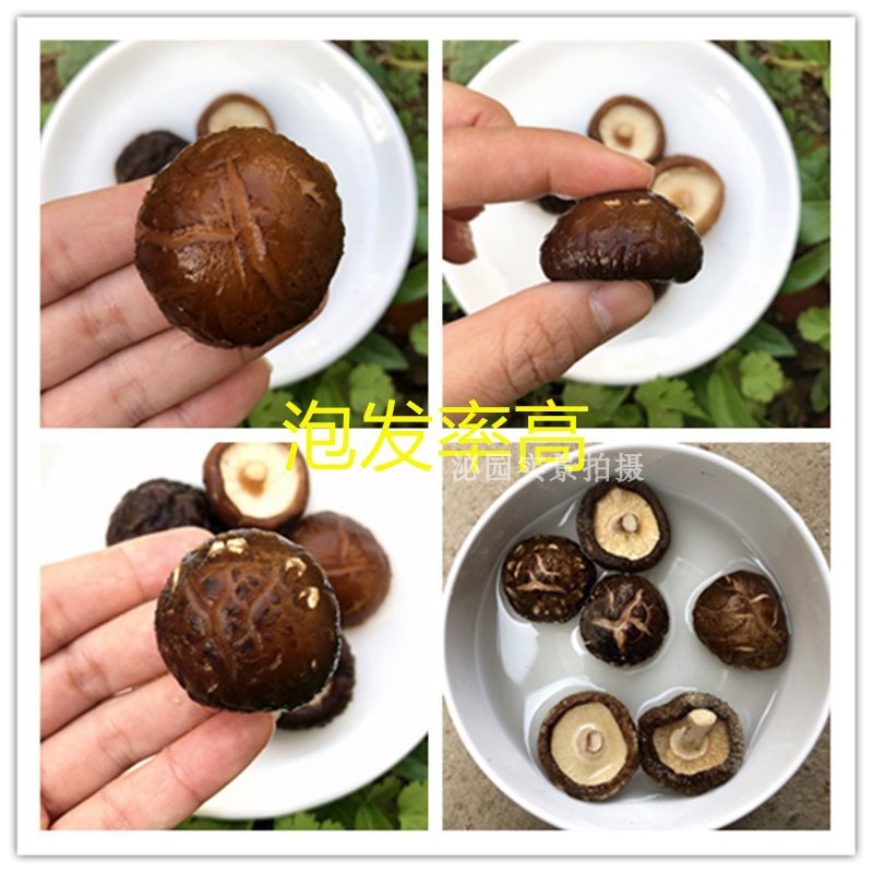 小香菇冬菇干蘑菇花菇干货黄焖鸡香菇枇发2500g散装 5斤包邮_虎窝淘