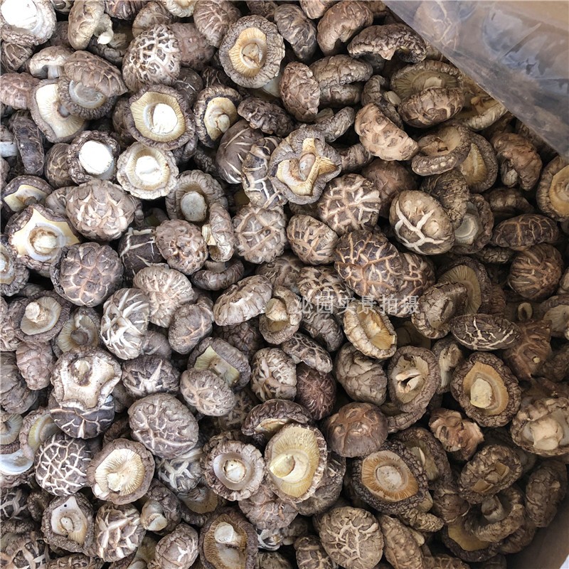 花菇干货 农家香菇椴木冬菇500g包邮蘑菇剪脚肉厚干花菇 - 图2