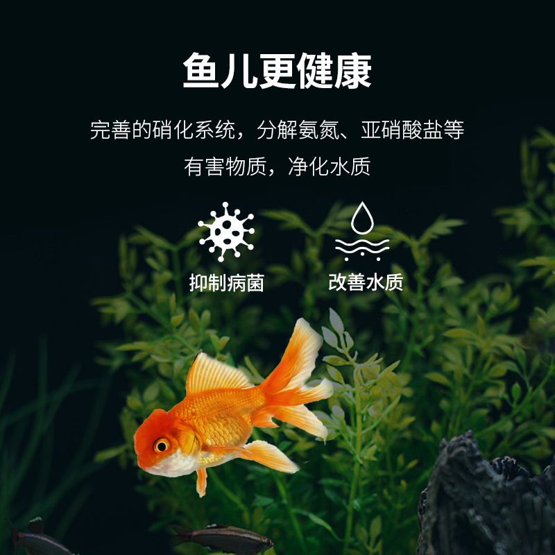 硝化细菌靓鱼宝鱼缸用净水剂养鱼水质稳定净化剂除藻水族消化活菌 - 图0