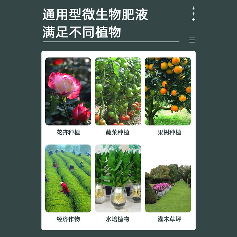 植物营养液三角梅月季茶花兰花盆栽生根液草莓多肉绿植有机肥液,淘宝优惠券,粉丝福利购,淘宝优惠卷