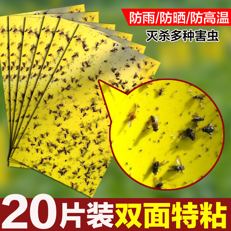 黄板双面粘虫板诱虫板蚊虫贴灭小飞虫果蝇诱捕器果园大棚粘苍蝇纸