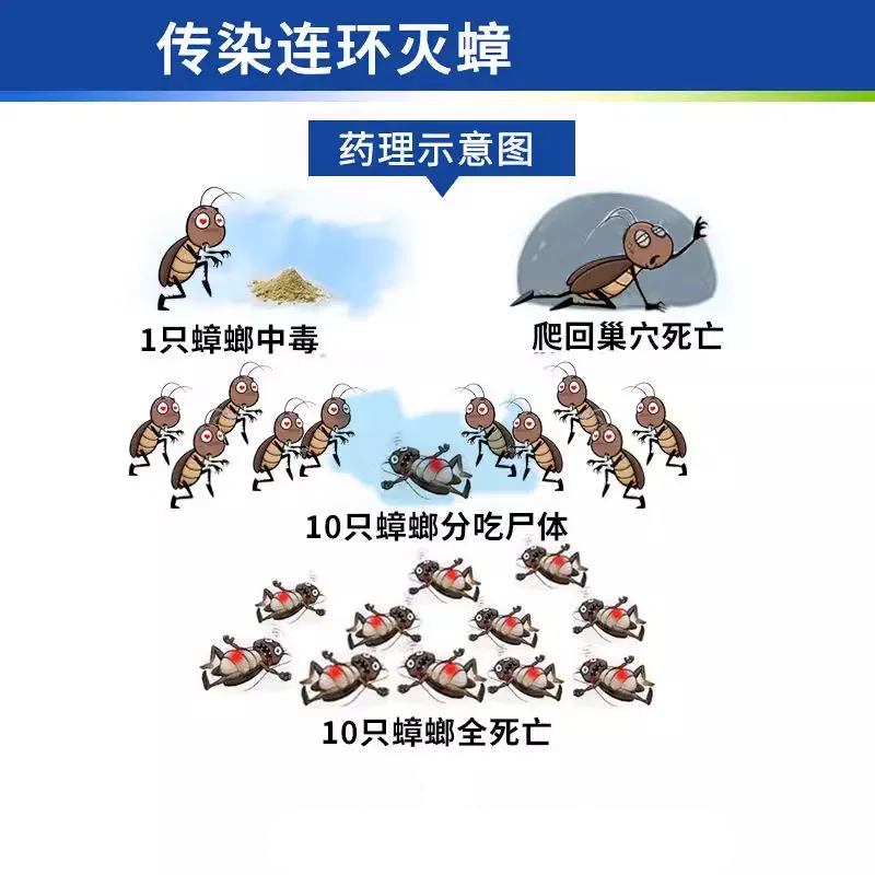 达豪蟑螂药家用非无毒灭蟑清强力除厨房室内饭店小强克星专用神器-图3