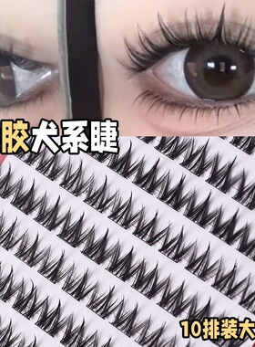 新款犬系小奶狗假睫毛~新款100簇大容量免胶懒人浓密自然漫画仿真