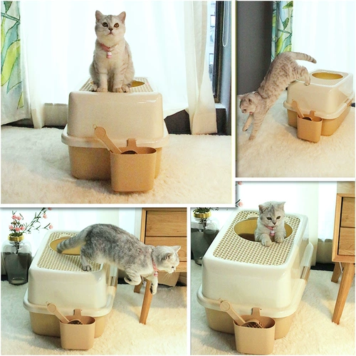 Smart Paws Верхний кошачий песчаный кот
