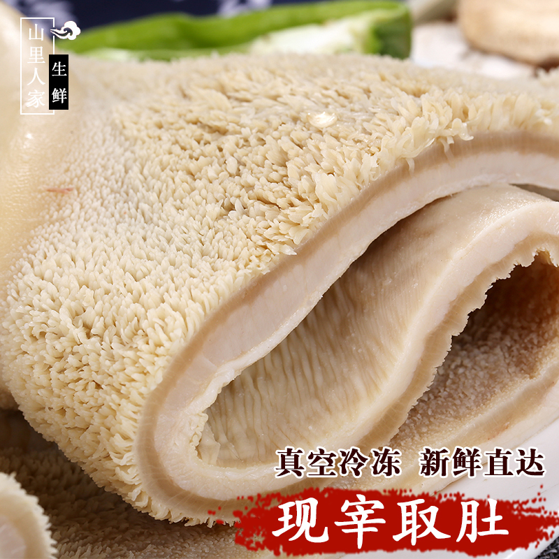 新鲜熟牛肚500g 农家散养黄牛牛肚  火锅食材 毛肚 牛百叶 牛千层 - 图0