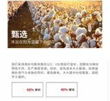 Шарф, набор материалов, клубок пряжи, крючок для вязания, тапочки, вязаная сумка ручной работы, DIY