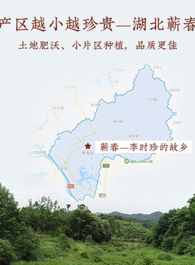 观二心虎年限定湖北艾草条