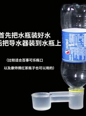 鸽子用品用具水壶双口导水器信鸽