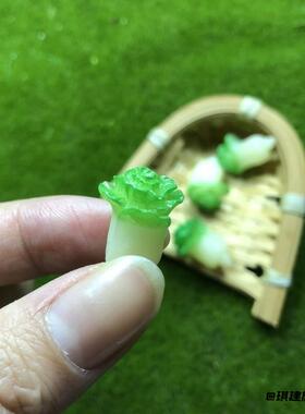 造景白菜微缩模型摆件树脂微景观