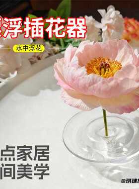 漂浮花插新款简约侘寂风插花器