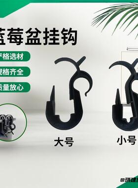 挂钩转钩创意蓝莓盆配件基质专用