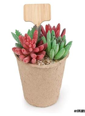 竹制插牌花园多肉园艺植物花卉