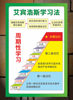 费曼学习法神奇高效海马体背墙贴