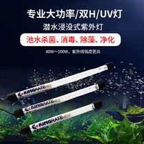 High Power Fish Pond Swimming Bath pool Landscape waterproof diving type purified water disinfection and algae removal of algae UV UV lamp