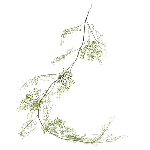 仿真蕨类植物藤蔓铁线蕨软藤黑芒藤植物缠绕绿植家居装饰工程搭配 - 图3