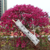 Umbrella Cover Umbrella Bag Green Flower China China Wind Traditional Cloth Bag oil paper umbrella Process umbrella portable and back cloth Contained Umbrella bag