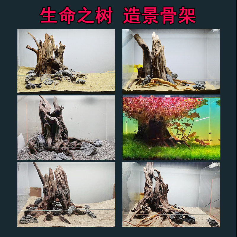 生命之树沉木老桩老树造景鱼缸水族箱装饰青龙石杜鹃根客厅生态景_虎窝淘