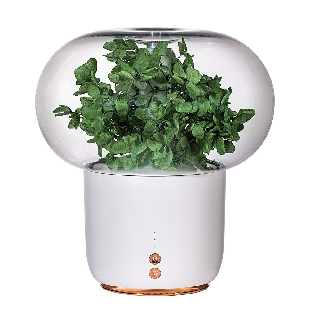 Foreign trade hot-selling eternal flower aromatherapy machine, household appliances, essential oil aromatherapy night light, creative humidifier, electronic gift