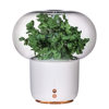 Foreign trade hot-selling eternal flower aromatherapy machine, household appliances, essential oil aromatherapy night light, creative humidifier, electronic gift