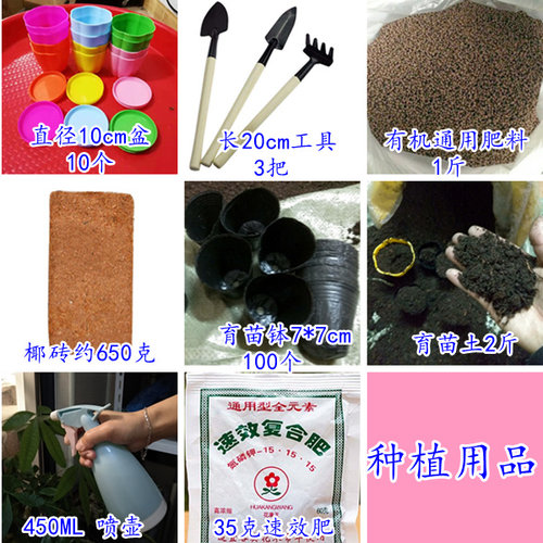花种子四季种易活室内阳台盆栽开花不断花籽花卉种子套餐组合包邮 - 图2