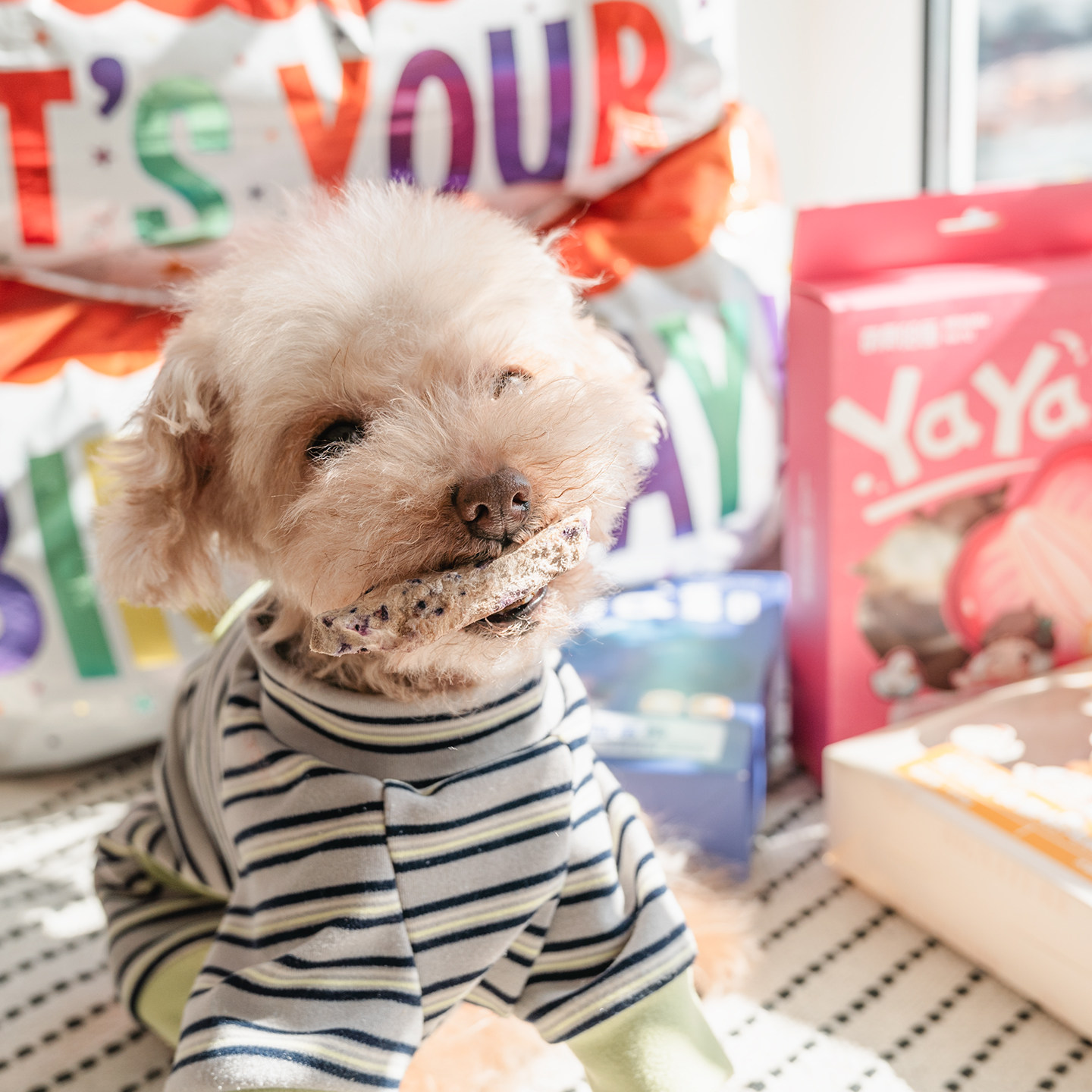 萌骨哈图宠物狗狗零食冻干鸡小胸蓝莓酸奶助消化鸭肉冻干训练奖励,淘宝优惠券,粉丝福利购,淘宝优惠卷