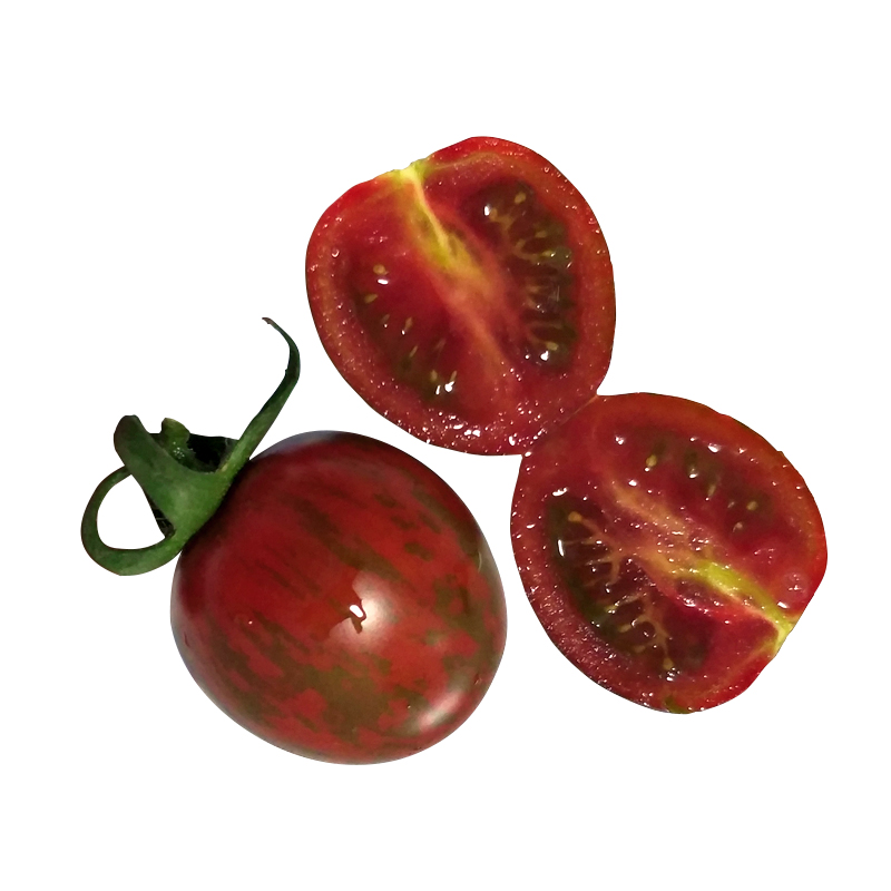 紫玉番茄种籽早熟紫黑色小西红柿种子樱桃小番茄蔬菜种孑盆栽四季-图3