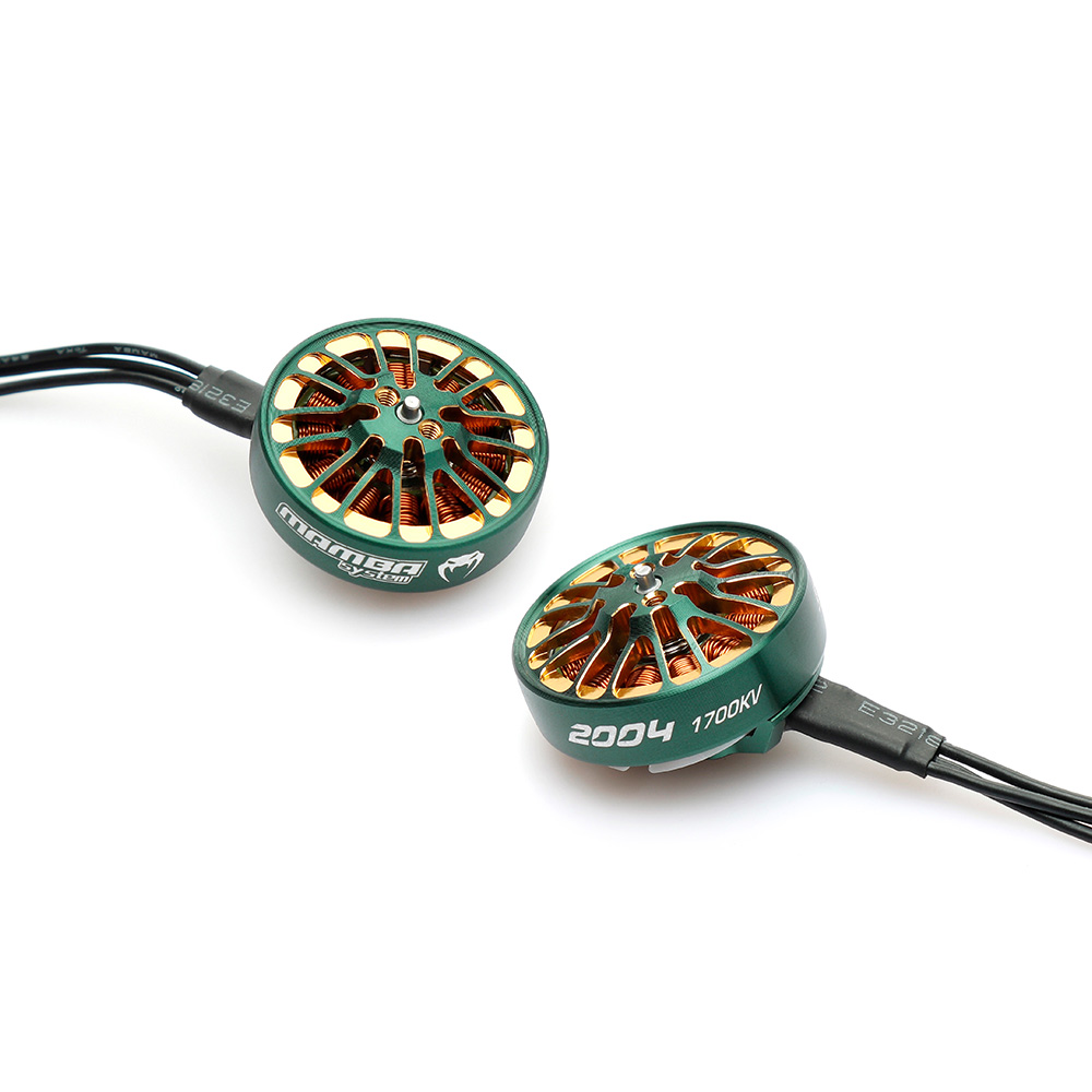 大通 MAMBA曼巴 TOKA 2004 1700KV 2900KV 电机 绿金版3.5~5inch - 图2