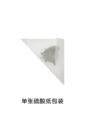 未展翅原蝶美眼蛱蝶DIY手工材料