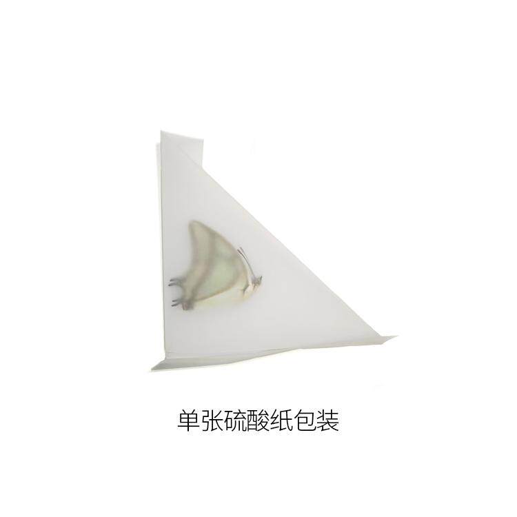 未展翅原蝶标本A1/A-品质DIY手工原材料真蝴蝶三角袋包装单选品种,淘宝优惠券,粉丝福利购,淘宝优惠卷