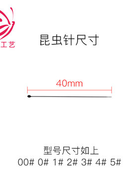 不锈钢昆虫针展翅固定针标本制作