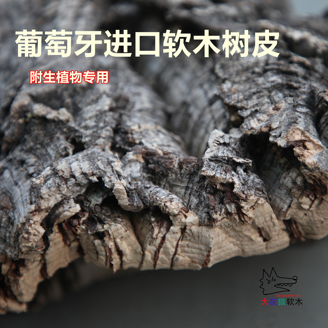 天然葡萄牙进口树皮植板附生植物专用真树皮兰花种植鹿角蕨空凤,淘宝优惠券,粉丝福利购,淘宝优惠卷