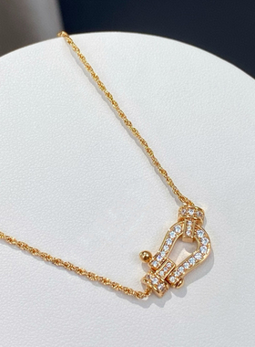 白兔家高品质！纯银马蹄扣金银两色锁骨项链高级百搭925通勤优雅