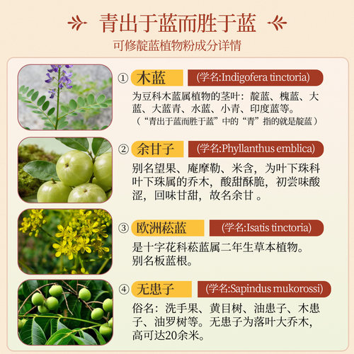 可修靛蓝植物粉海娜粉木蓝养发粉醋栗粉盖白养发天然植物护发粉 - 图0