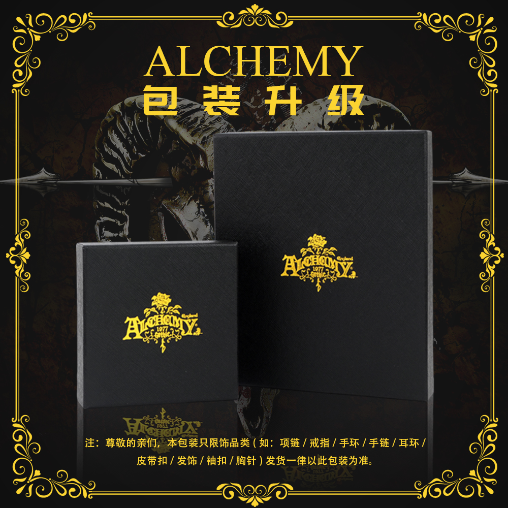 A牌欧美朋克时尚百搭全新嘻哈摇滚水晶龙耳钉Alchemy Gothic E330 - 图2