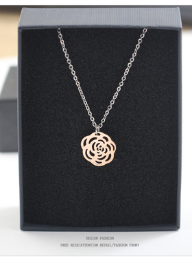 百搭配饰钛钢项链女高级感轻奢小众设计感吊坠气质不掉色锁骨链女