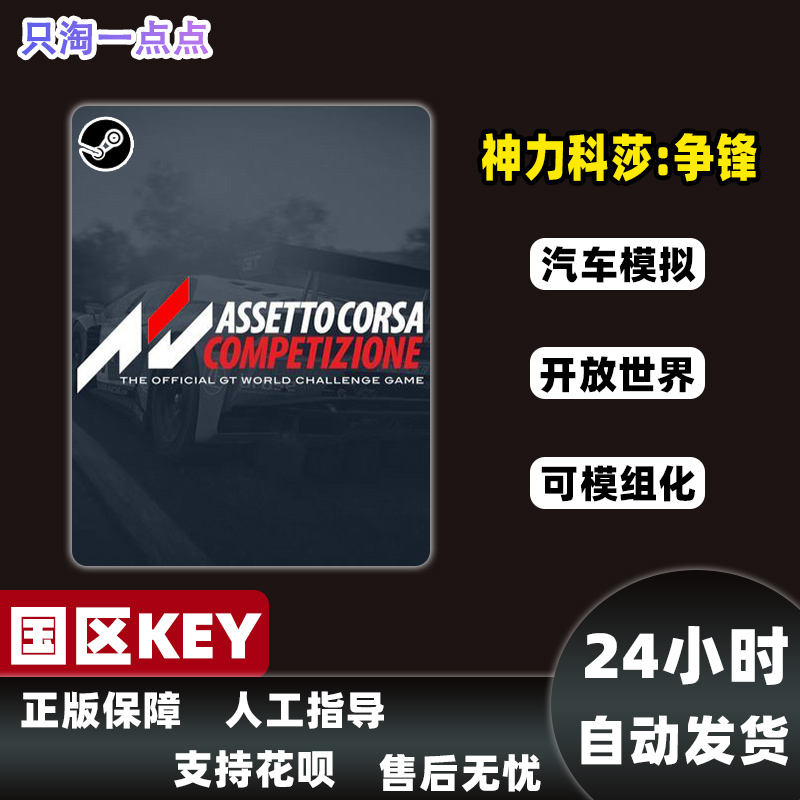 Steam正版国区Key神力科莎:争锋 竞速Assetto Corsa Competizione - 图1