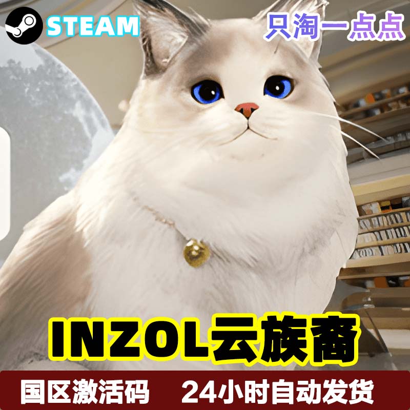 Steam游戏 inZOl云族裔  inzoi  国区激活码CDK现货 - 图2