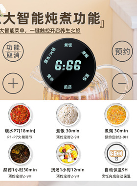 养生壶全自动加厚玻璃煎中药壶