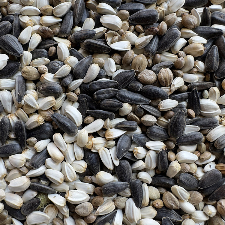 油葵黑瓜子 红花籽 麻子 油料混合三合一 玄凤鹦鹉中大型鸟粮鸟食,淘宝优惠券,粉丝福利购,淘宝优惠卷