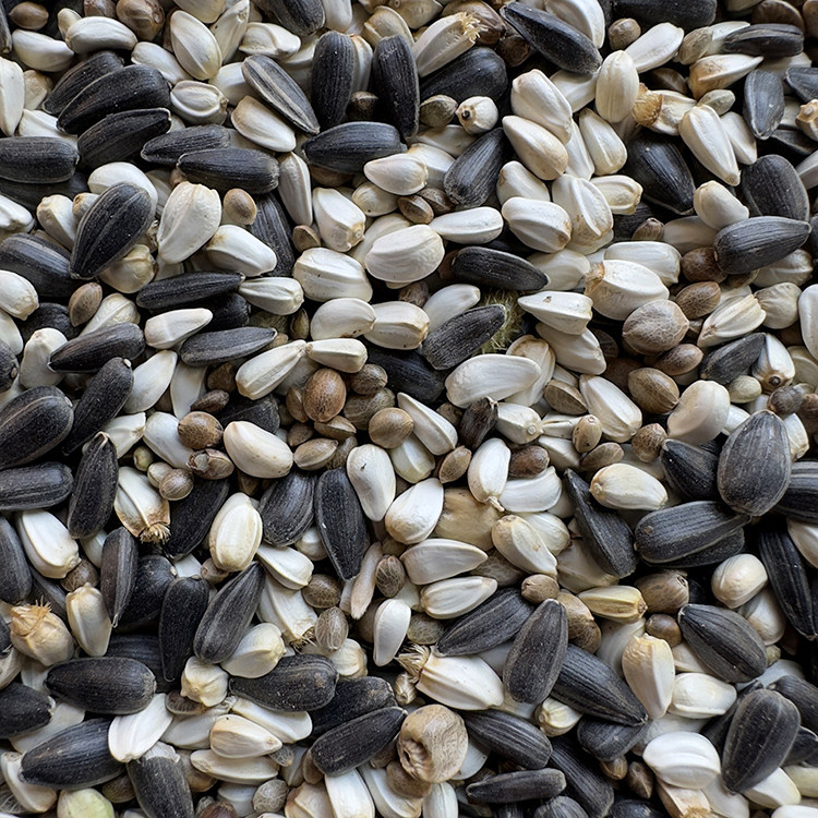 油葵黑瓜子 红花籽 麻子 油料混合三合一 玄凤鹦鹉中大型鸟粮鸟食,淘宝优惠券,粉丝福利购,淘宝优惠卷