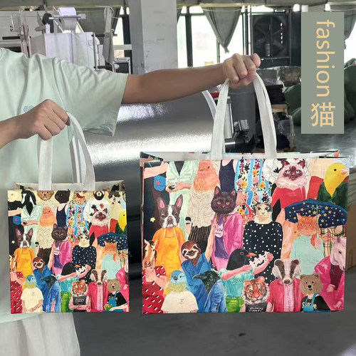 无纺布外卖打包袋定做印LOGO覆膜包装袋烧烤餐饮防水手提袋服装袋 - 图3